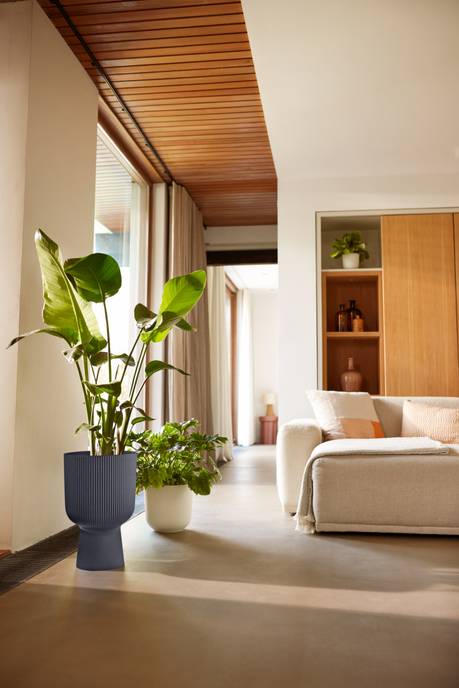 vibes fold coupe 30cm anthracite